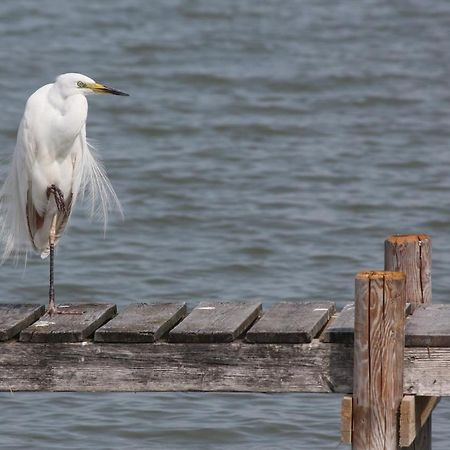 Appartement Am See Podersdorf am See Zewnętrze zdjęcie